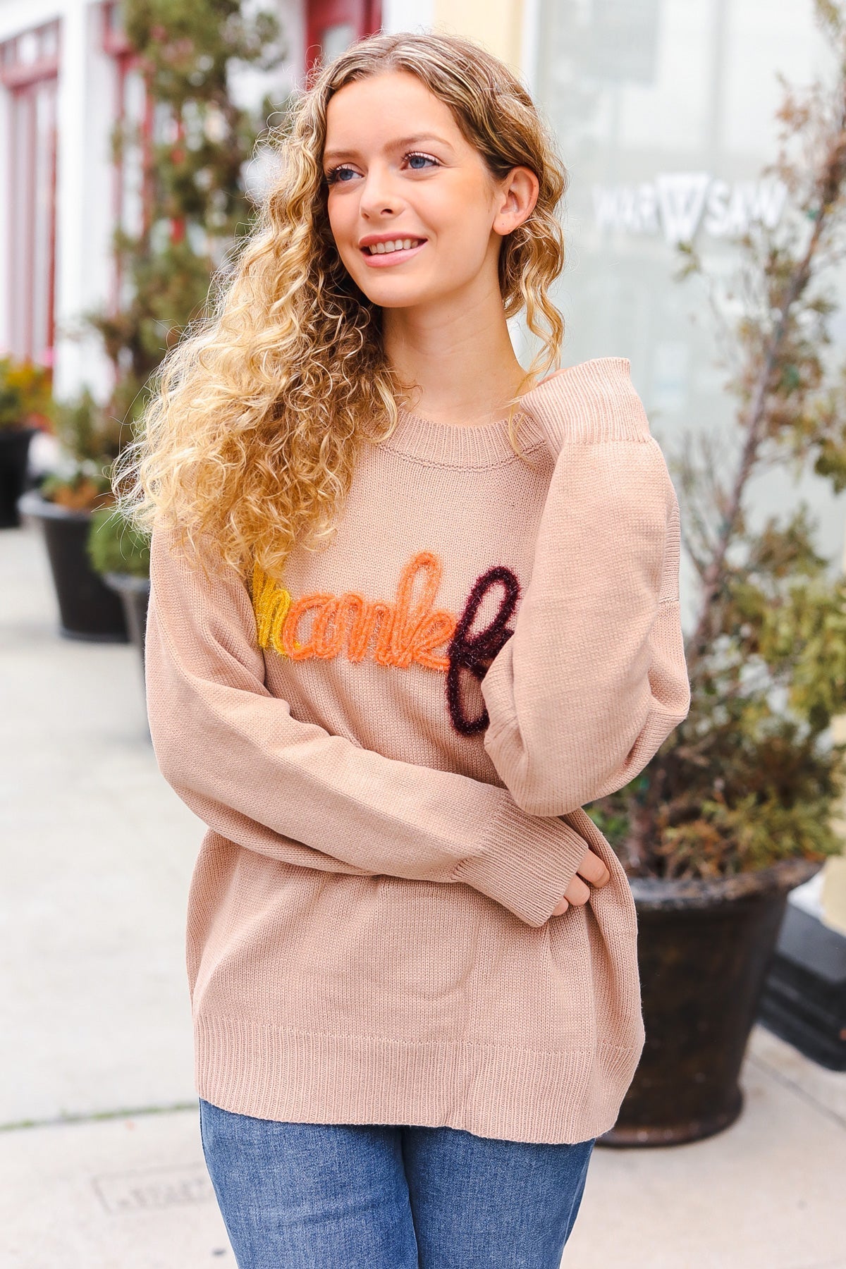 Aída® | Feeling Thankful Pop-up-Pullover mit glitzernder Stickerei in Taupe